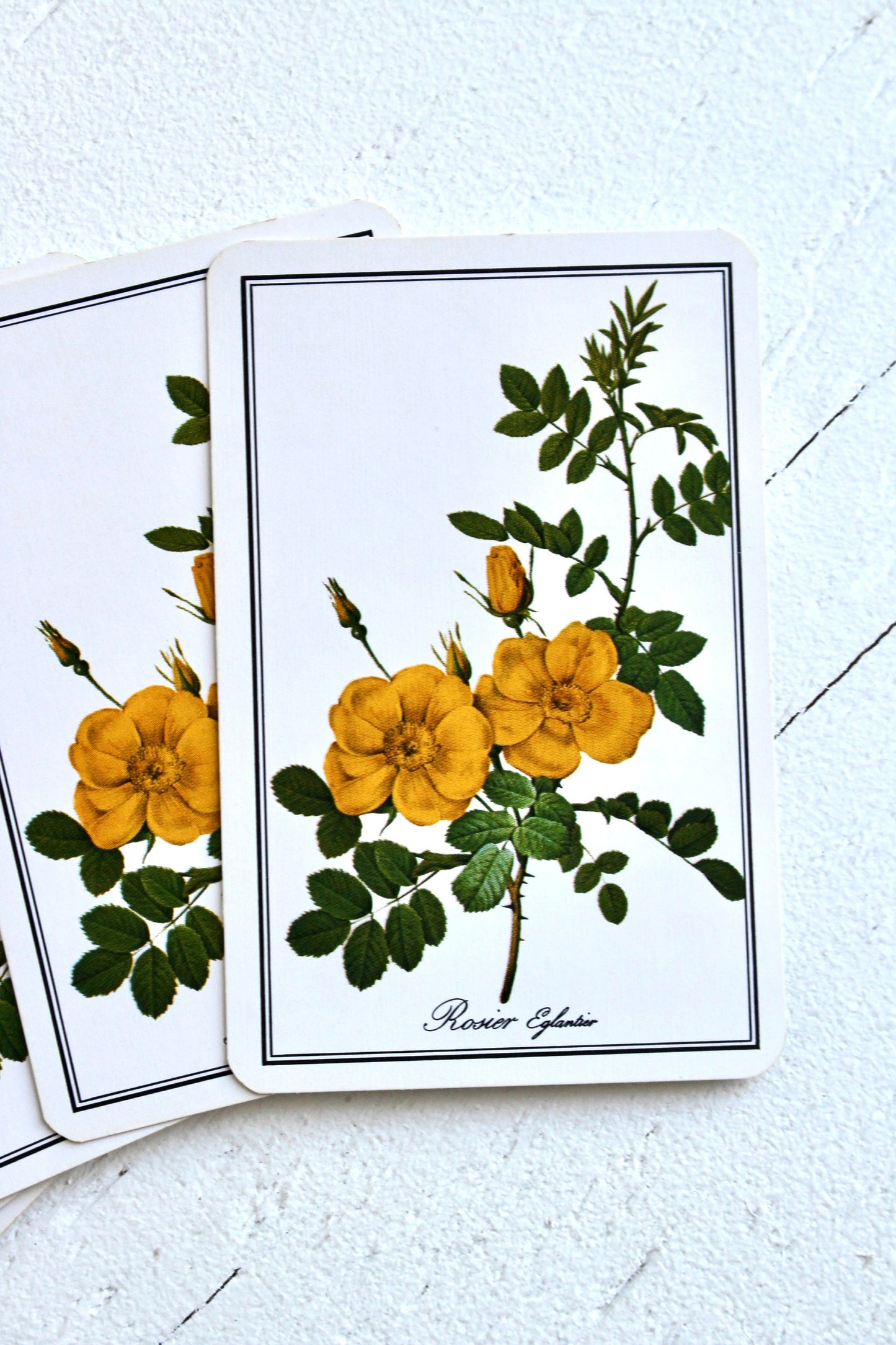 Vintage Yellow Rose Floral Playing Cards, Set of 5, Retro Floral Ephemera, Botanical Swap Cards, Junk Journal Craft Cards, Rose Art Cards