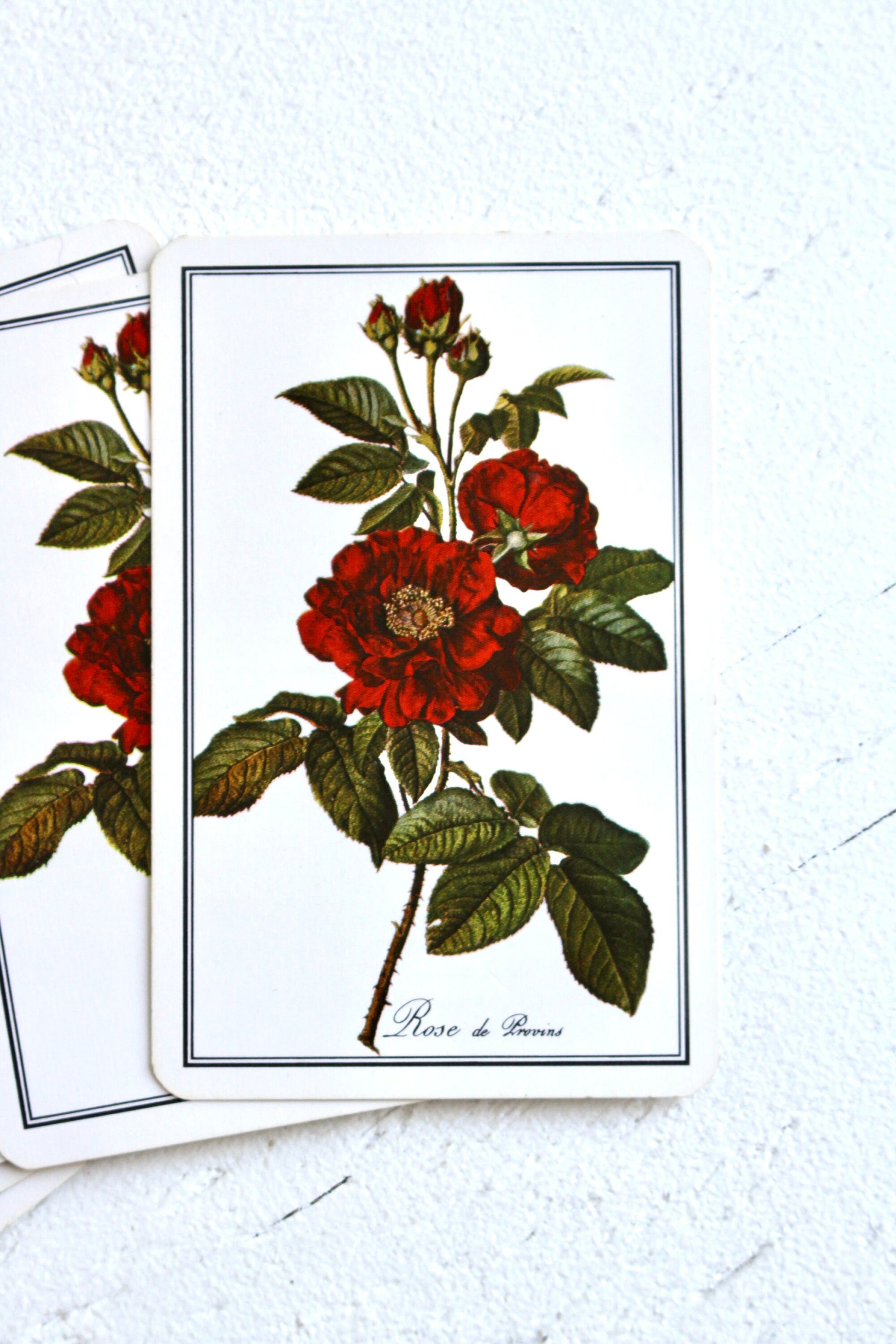 Vintage Red Rose Floral Playing Cards, Set of 5, Retro Floral Ephemera, Botanical Swap Cards, Junk Journal Craft Cards, Rose Art Cards