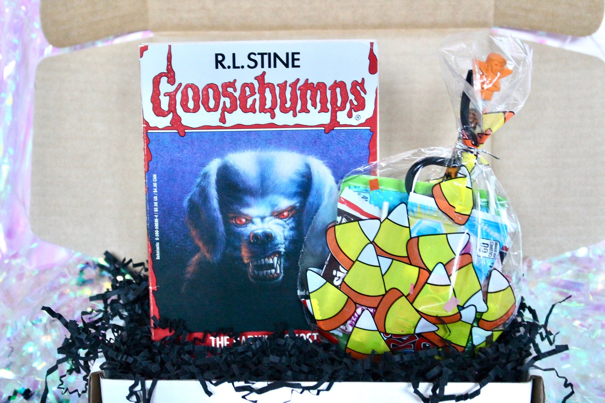 Vintage Goosebumps Halloween Goodie Box, 90s Beanie Baby Mystery Gift Box, 80s Kid Nostalgia Halloween Gift, Retro Kids Trick or Treat Gift