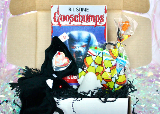 Vintage Goosebumps Halloween Goodie Box, 90s Beanie Baby Mystery Gift Box, 80s Kid Nostalgia Halloween Gift, Retro Kids Trick or Treat Gift