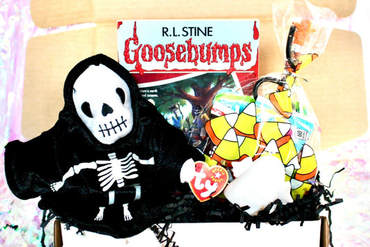 Vintage Goosebumps Halloween Goodie Box, 90s Beanie Baby Mystery Gift Box, 80s Kid Nostalgia Halloween Gift, Retro Kids Trick or Treat Gift