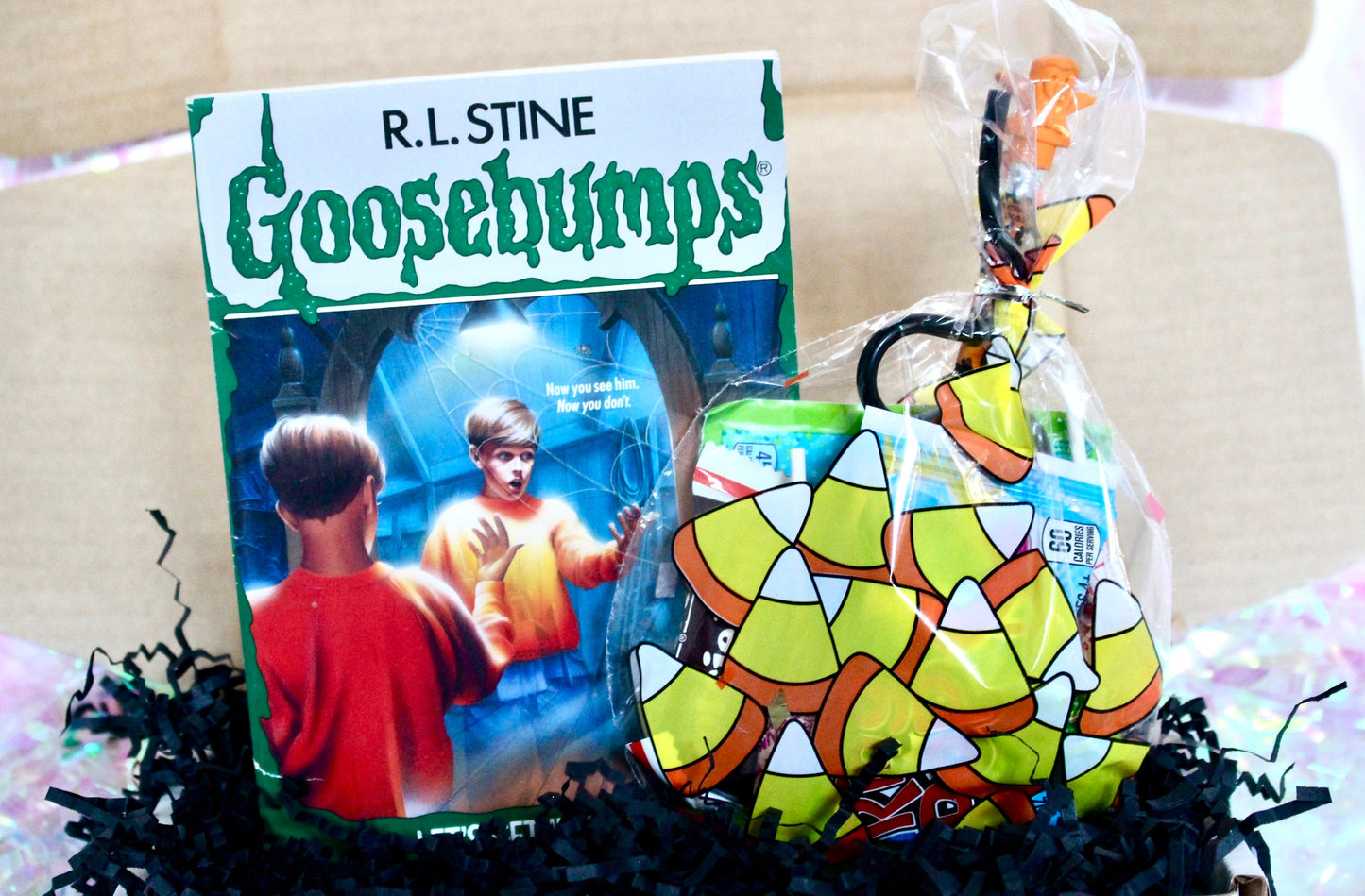 Vintage Goosebumps Halloween Goodie Box, 90s Beanie Baby Mystery Gift Box, 80s Kid Nostalgia Halloween Gift, Retro Kids Trick or Treat Gift