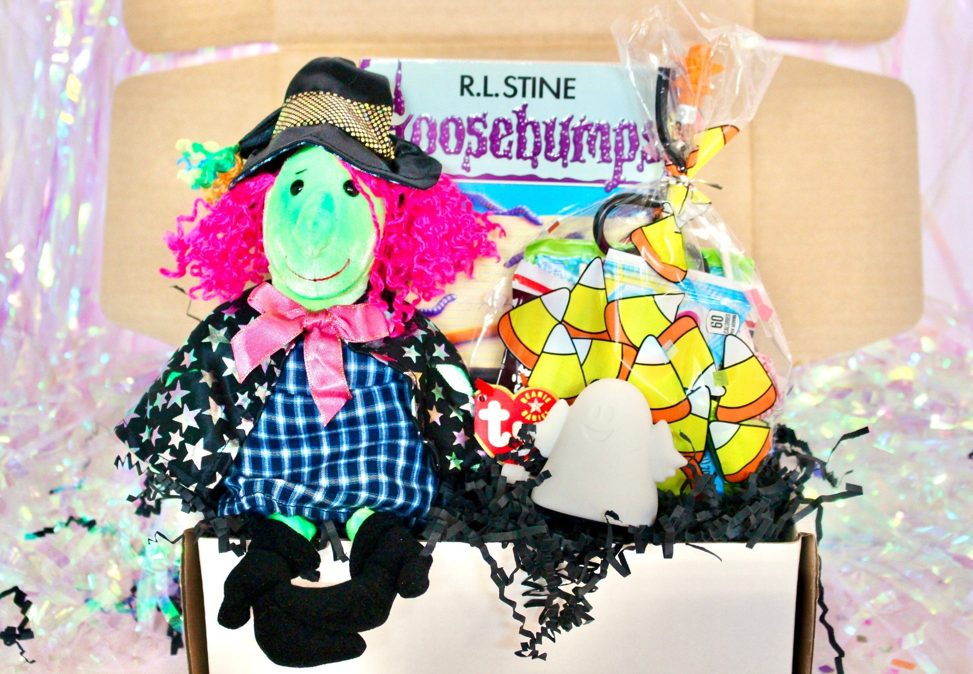 Vintage Goosebumps Halloween Goodie Box, 90s Beanie Baby Mystery Gift Box, 80s Kid Nostalgia Halloween Gift, Retro Kids Trick or Treat Gift