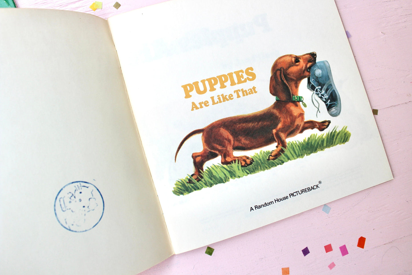 Dogs and Cats Toddler Early Learning Books, Kittens Puppies are Like That, Vintage 1980s Kids Books, Sustainable Kids Birthday Party Gift