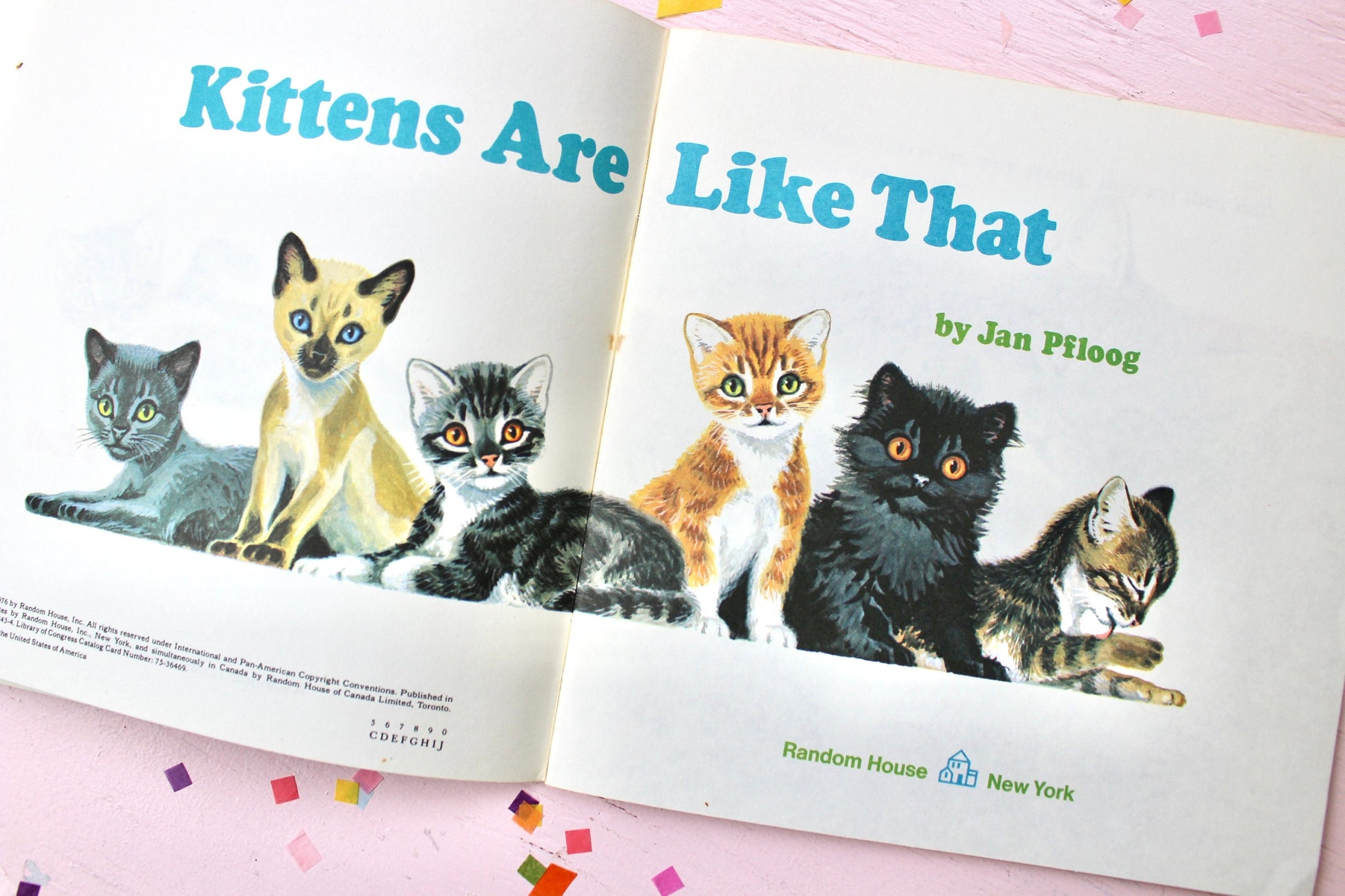 Dogs and Cats Toddler Early Learning Books, Kittens Puppies are Like That, Vintage 1980s Kids Books, Sustainable Kids Birthday Party Gift