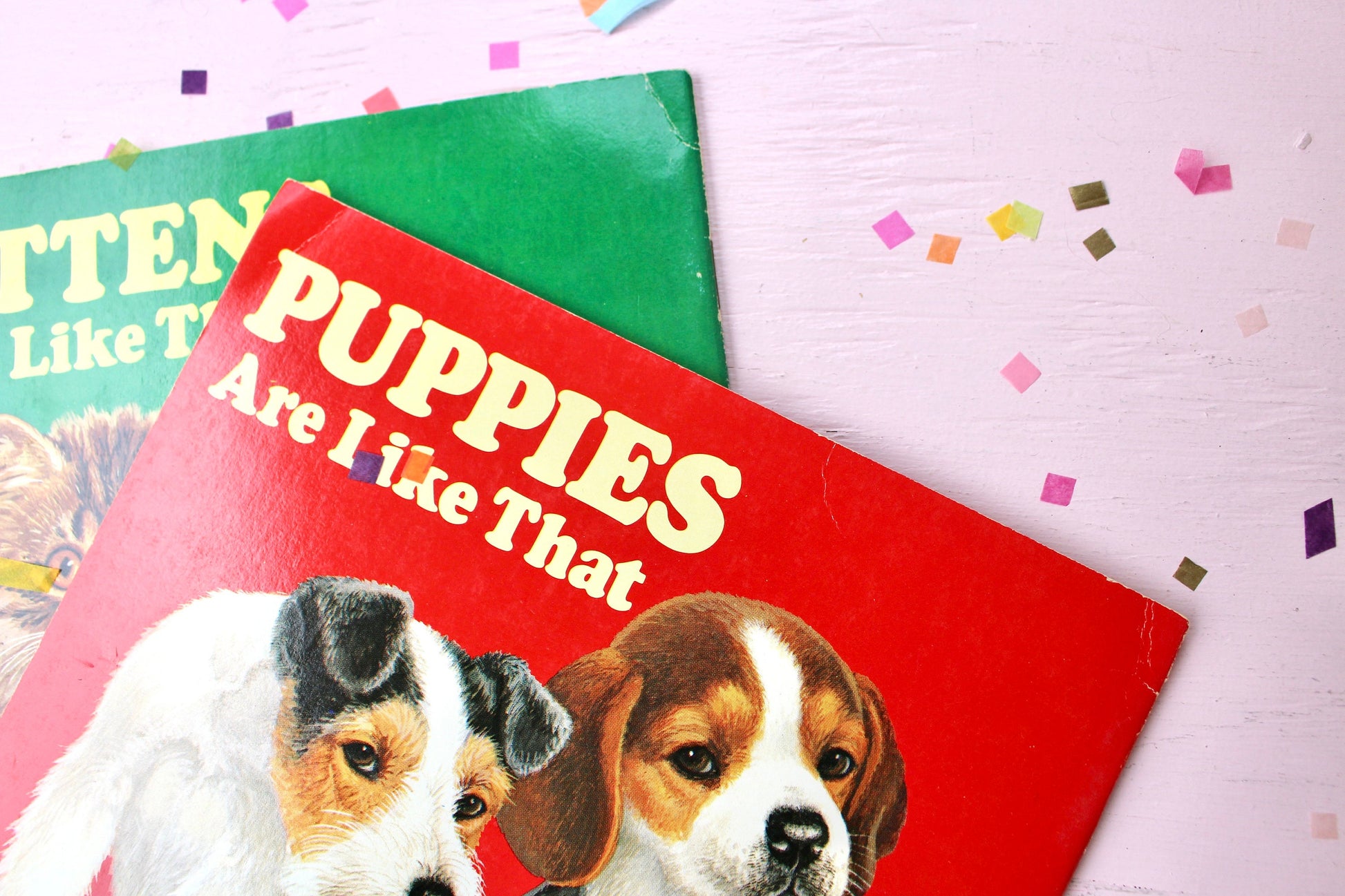 Dogs and Cats Toddler Early Learning Books, Kittens Puppies are Like That, Vintage 1980s Kids Books, Sustainable Kids Birthday Party Gift