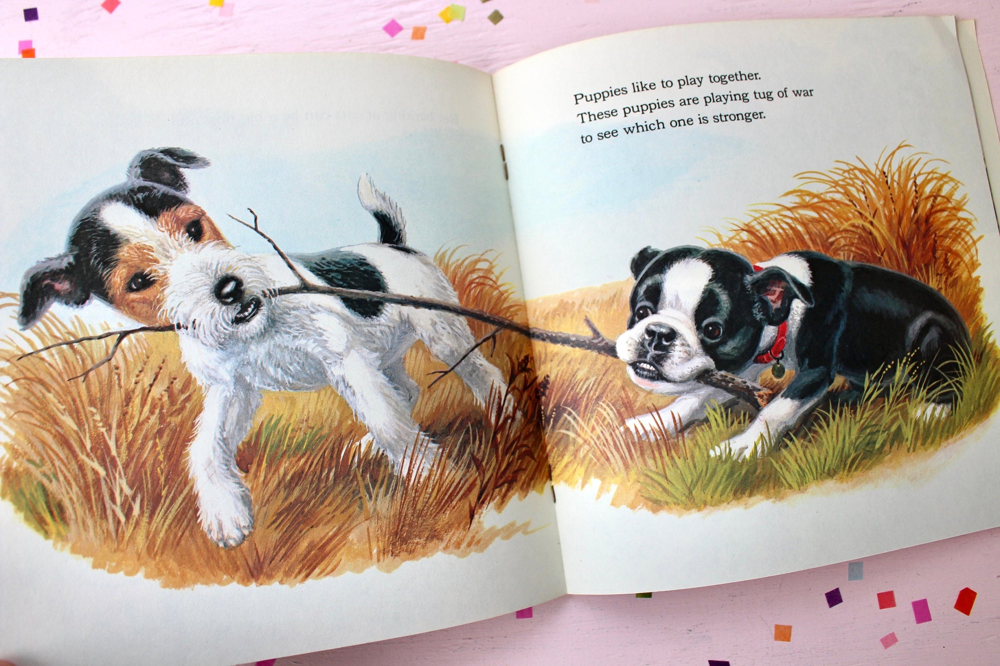 Dogs and Cats Toddler Early Learning Books, Kittens Puppies are Like That, Vintage 1980s Kids Books, Sustainable Kids Birthday Party Gift