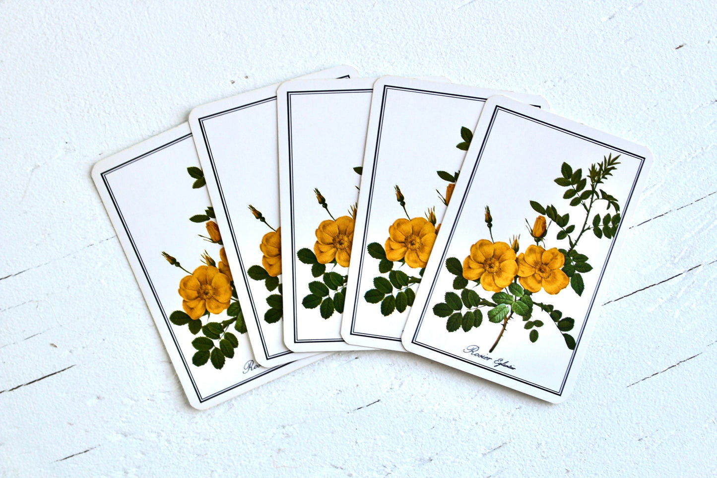 Vintage Yellow Rose Floral Playing Cards, Set of 5, Retro Floral Ephemera, Botanical Swap Cards, Junk Journal Craft Cards, Rose Art Cards