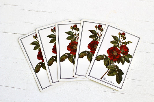 Vintage Red Rose Floral Playing Cards, Set of 5, Retro Floral Ephemera, Botanical Swap Cards, Junk Journal Craft Cards, Rose Art Cards