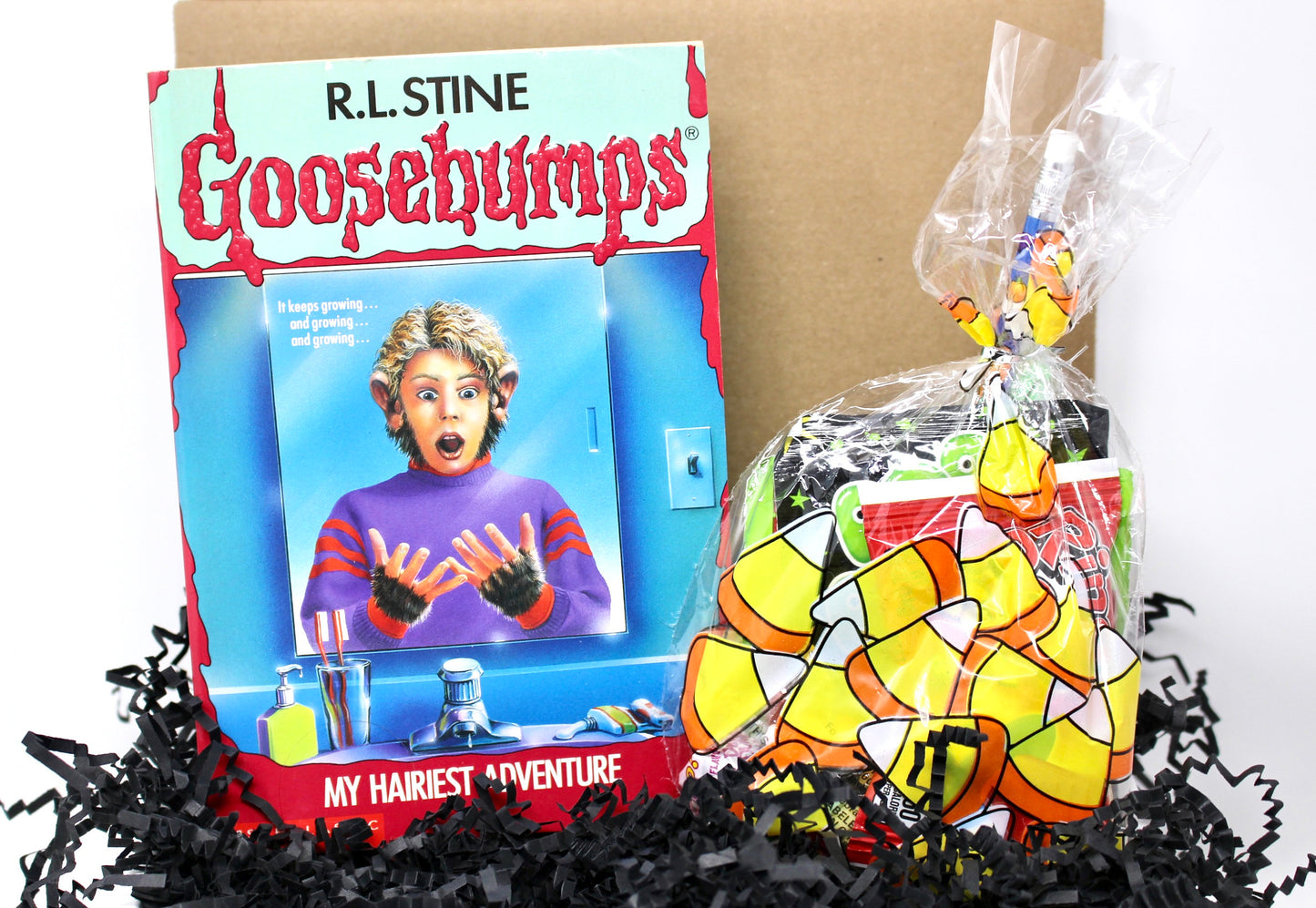 Vintage Goosebumps Halloween Goodie Box, 90s Beanie Baby Mystery Gift Box, 80s Kid Nostalgia Halloween Gift, Retro Kids Trick or Treat Gift