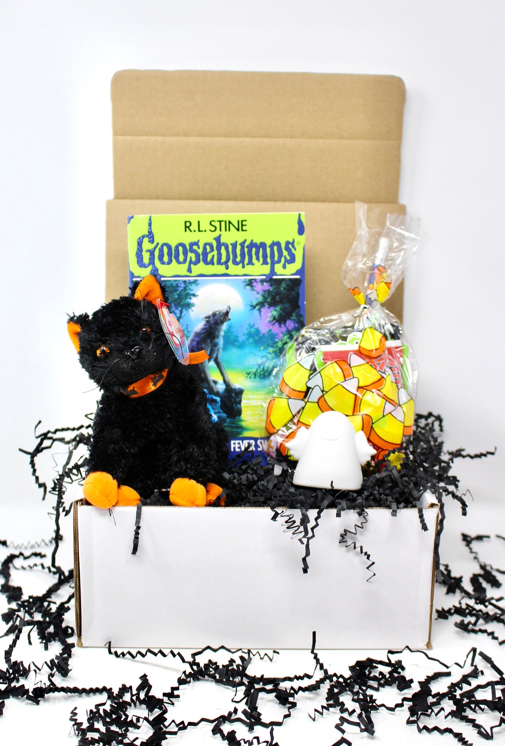 Vintage Goosebumps Halloween Goodie Box, 90s Beanie Baby Mystery Gift Box, 80s Kid Nostalgia Halloween Gift, Retro Kids Trick or Treat Gift