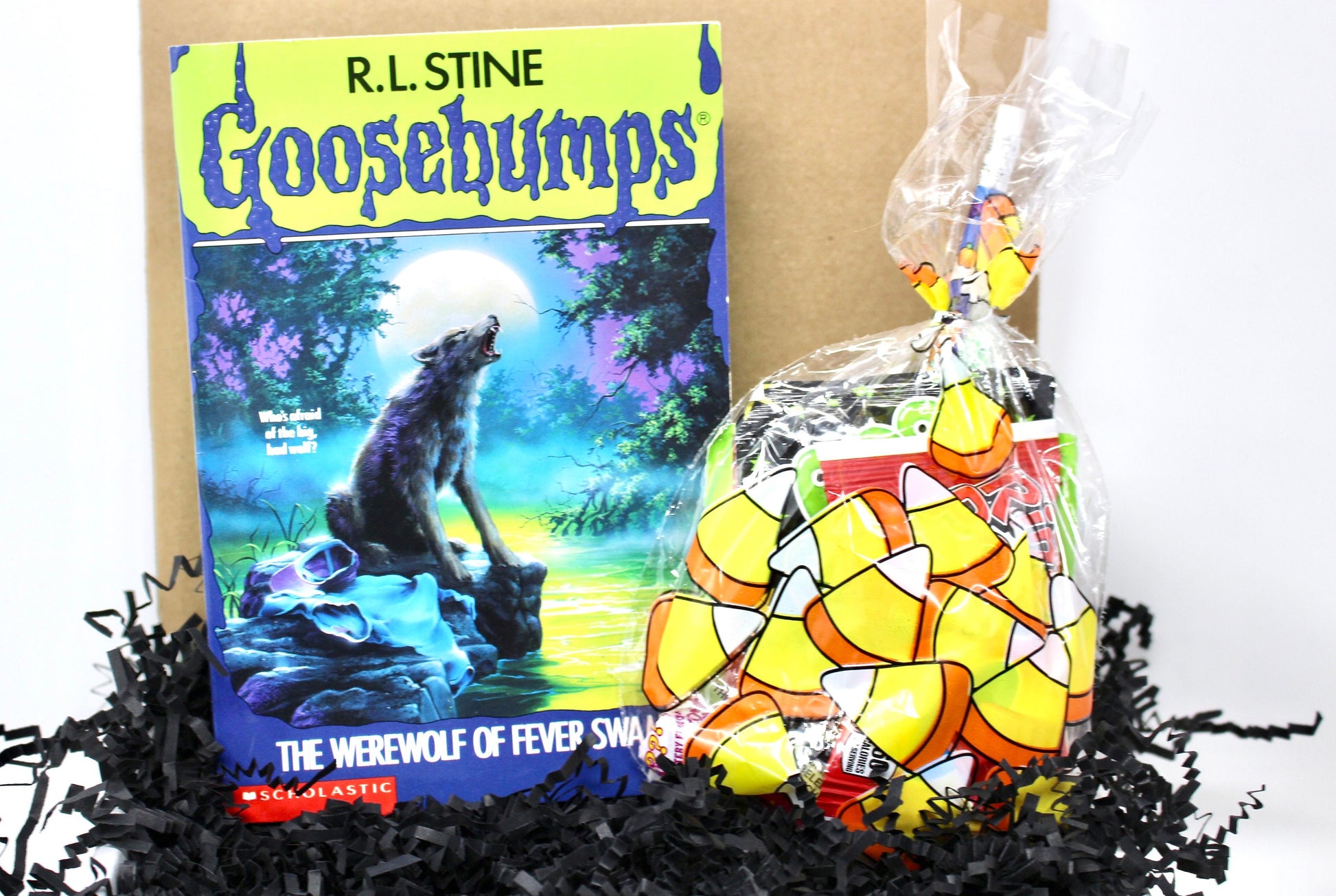 Vintage Goosebumps Halloween Goodie Box, 90s Beanie Baby Mystery Gift Box, 80s Kid Nostalgia Halloween Gift, Retro Kids Trick or Treat Gift