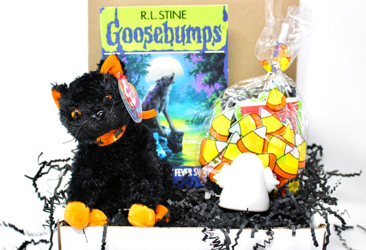 Vintage Goosebumps Halloween Goodie Box, 90s Beanie Baby Mystery Gift Box, 80s Kid Nostalgia Halloween Gift, Retro Kids Trick or Treat Gift