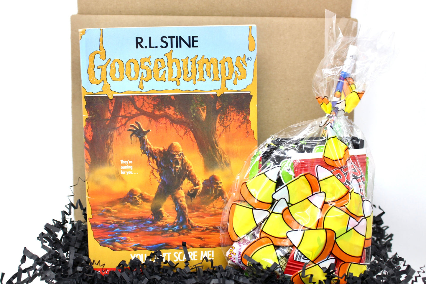 Vintage Goosebumps Halloween Goodie Box, 90s Beanie Baby Mystery Gift Box, 80s Kid Nostalgia Halloween Gift, Retro Kids Trick or Treat Gift