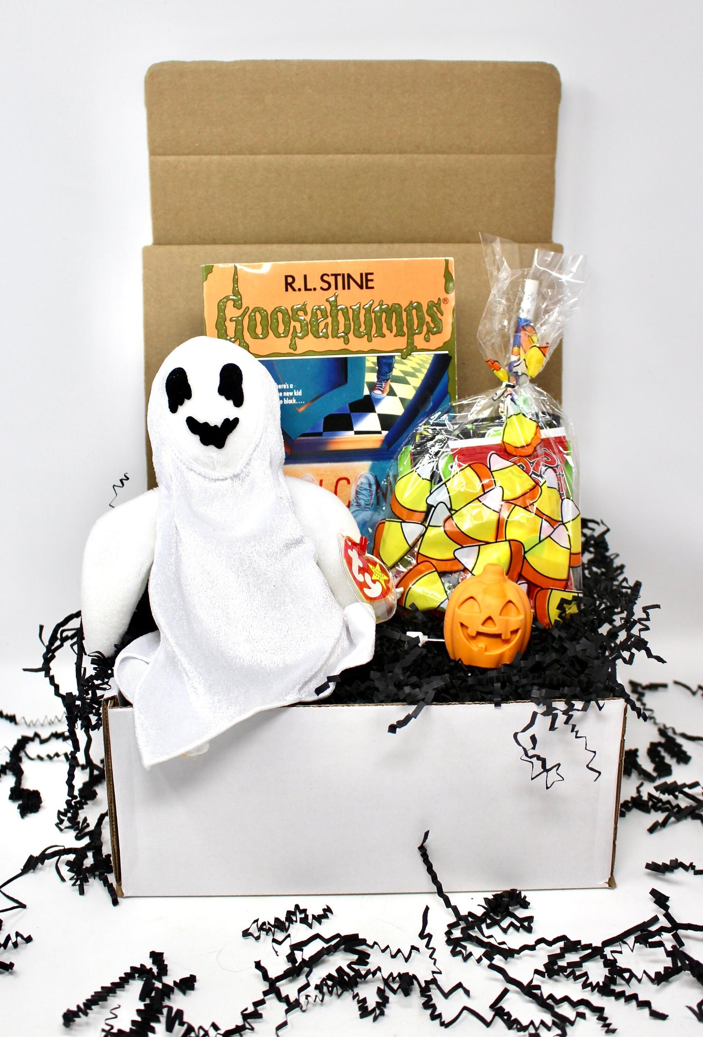 Vintage Goosebumps Halloween Goodie Box, 90s Beanie Baby Mystery Gift Box, 80s Kid Nostalgia Halloween Gift, Retro Kids Trick or Treat Gift