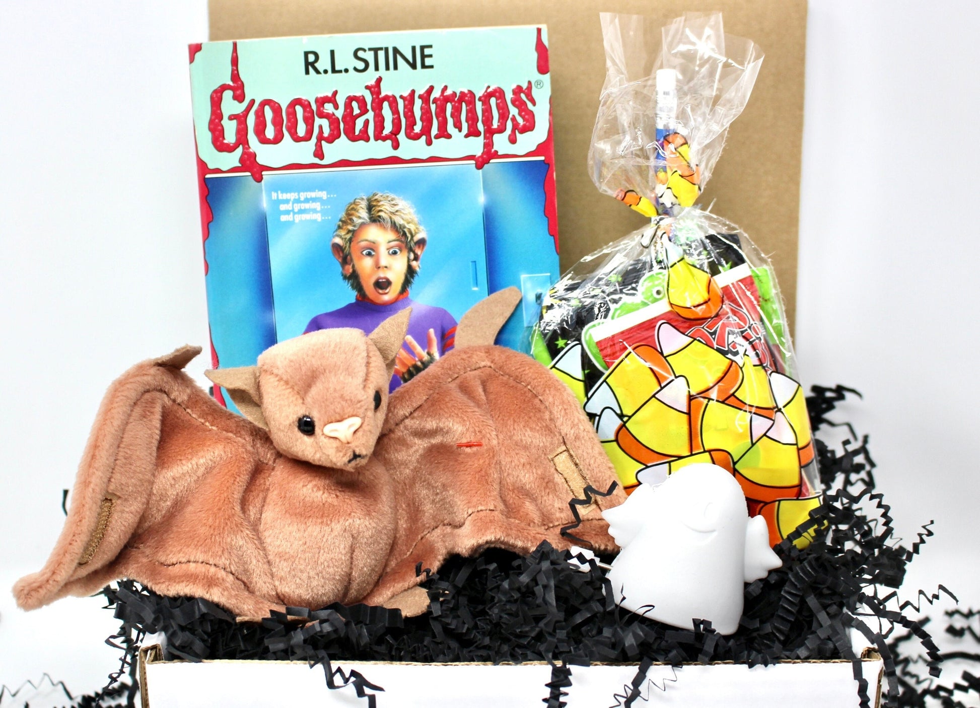 Vintage Goosebumps Halloween Goodie Box, 90s Beanie Baby Mystery Gift Box, 80s Kid Nostalgia Halloween Gift, Retro Kids Trick or Treat Gift