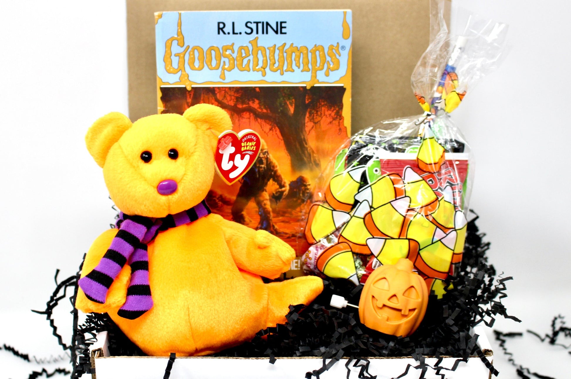 Vintage Goosebumps Halloween Goodie Box, 90s Beanie Baby Mystery Gift Box, 80s Kid Nostalgia Halloween Gift, Retro Kids Trick or Treat Gift